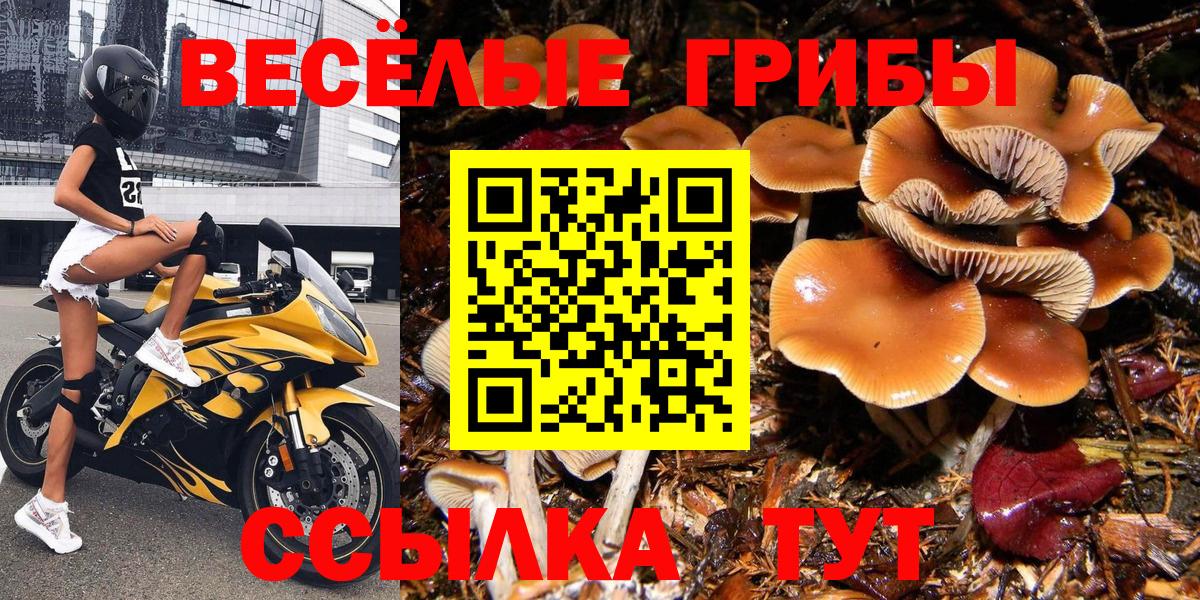 Галлюциногенные грибы Cubensis Реж