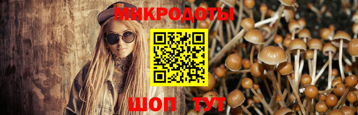 Реж  Псилоцибиновые грибы Psilocybine cubensis  Галлюциногенные грибы Cubensis  Вход с VPN 